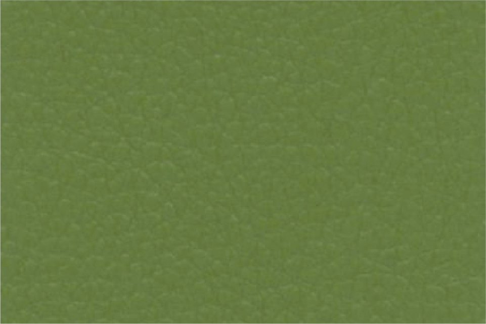 Ecopelle verde